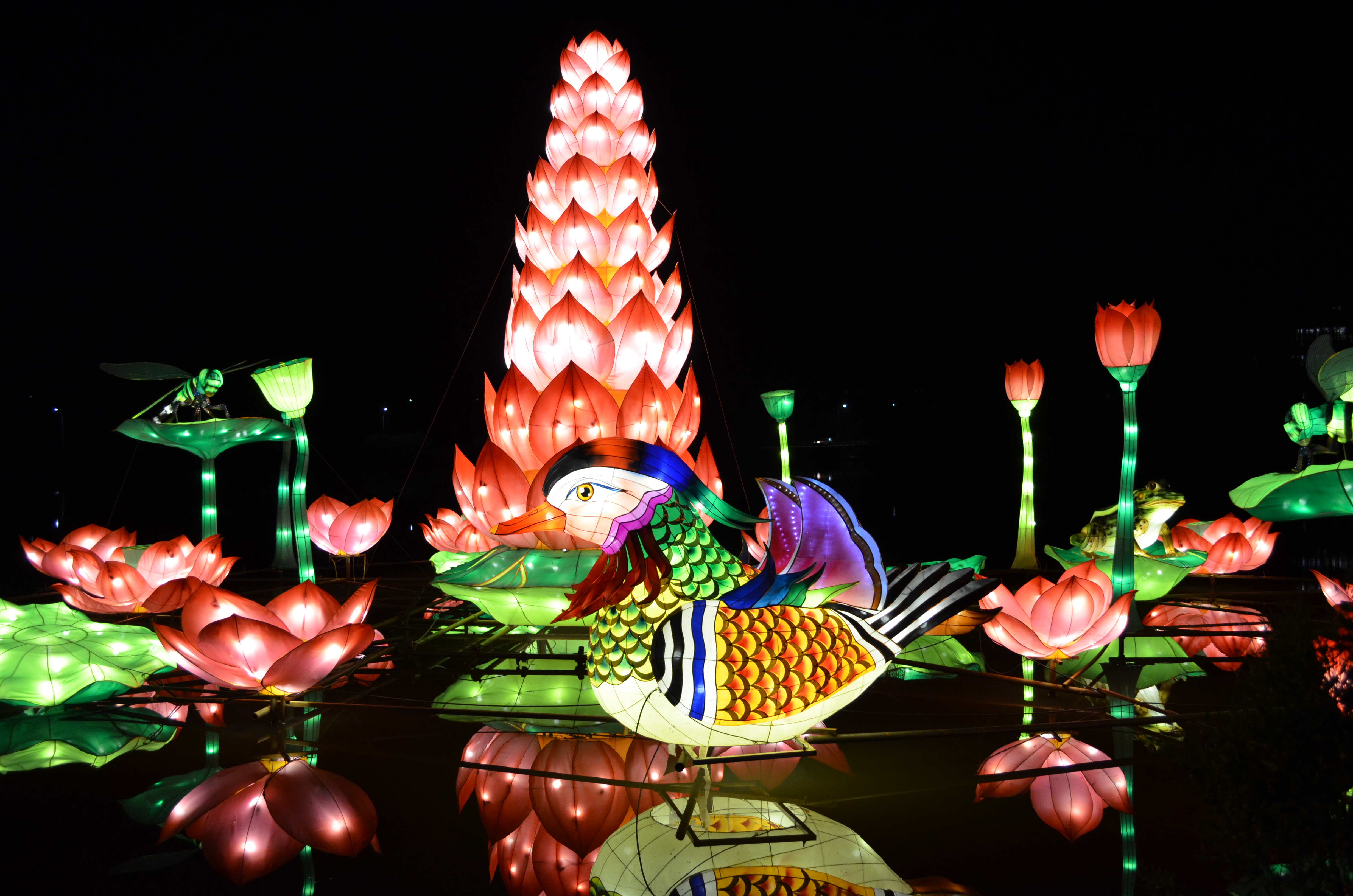 ./2015/33 - Chinese Lantern Festival/DSC_0639.JPG